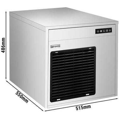 GGM Gastro Flockeneisbereiter - 220 kg/ 24 h Zilver / Zwart