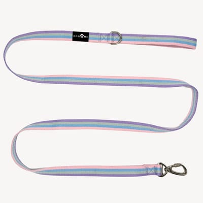 Regenboog - Hondenriem - M- 2,5 cm breed - 2 m / 2 meter / 200 cm lang - Leiband hond