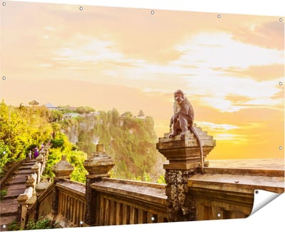 Gards Tuinposter Aap op de Uluwatu Tempel in Bali - 180x120 cm - Tuindoek - Tuindecoratie - Wanddecoratie buiten - Tuinschilderij