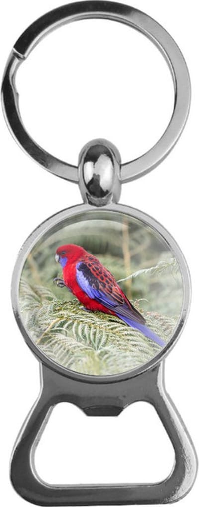 Bieropener Glas - Vogel