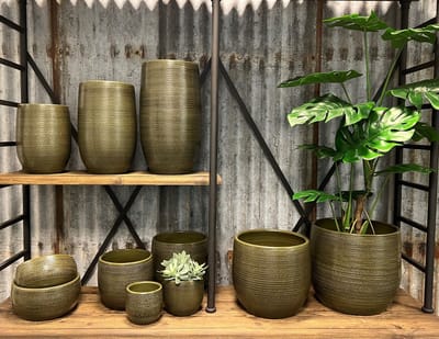 Groene Pot Dallas D16 x H14