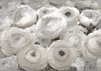 White Roses Vintage Effect Photo Wallcovering