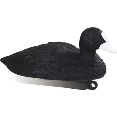 Bellen van meerkoet Stepland (x12)