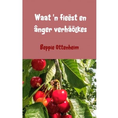 Waat 'n Fieëst En - Beppie Ottenheim