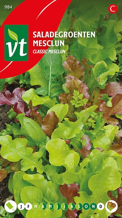 Sla 'Saladegroenten Classic Mesclun' - Grote Variatie voor Verse Salades