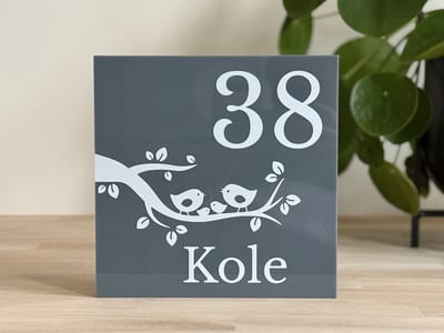 Naambordje | Vogeltjes op tak | 20x20cm | Grijs | Huisnummerbord | Plexiglas | RVS afstandhouders | Gezinsnaambordjes