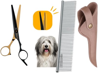 Professor Q Uitdunschaar – Contourschaar voor Honden – Professionele Trimschaar – Zwart/Goud met Luxe Lederen Etui – 16,5 cm – Brons + Anti-Klit Kam – Pijnloos & Huisdiervriendelijk