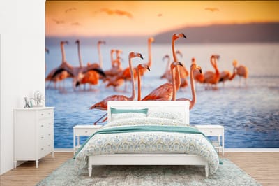 Behang - Fotobehang Flamingo - Dieren - Water - Roze - Breedte 385 cm x hoogte 240 cm