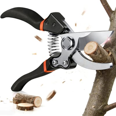 Cosensi - Dailygoods - Professionele Snoeischaar van SK-5 Staal met Veiligheidsvergrendeling