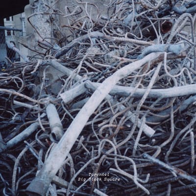 Tarentel - Big Black Square (CD)