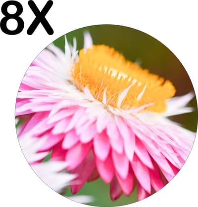 Luxe Ronde Placemat - Roze met Gele Bloem in de Natuur - Set van 8 Placemats - 50x50 cm - 2 mm dik Vinyl - Anti Slip - Afneembaar