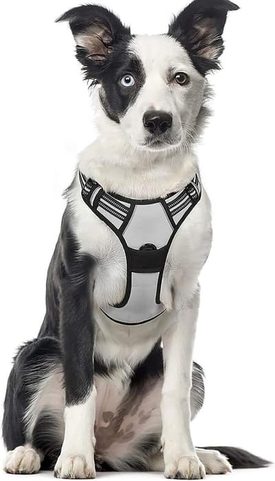 Hondenharnas, anti-trek reflecterend en ademend borstharnas, verstelbaar en zacht voor grote, middelgrote of kleine honden en puppy's