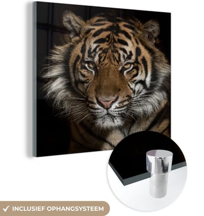 MuchoWow® Glasschilderij 50x50 cm - Schilderij acrylglas - Tijger - Wilde dieren - Portret - Foto op glas - Schilderijen