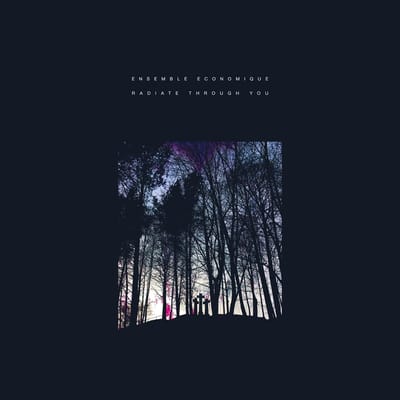 Ensemble Economique - Radiate Through You (LP)
