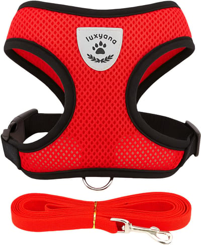 Luxyana® Kattentuigje met looplijn - S - Rood - Kattenharnas set inclusief kattenriem