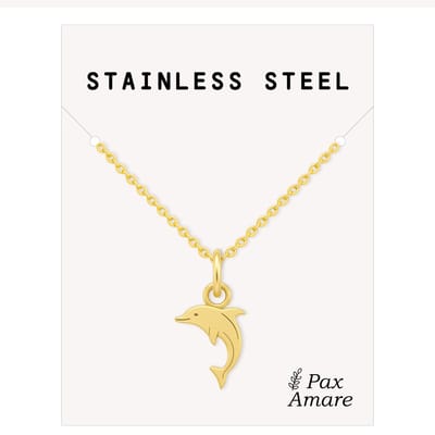 Stainless Steel Dolfijn Ketting Goudkleurig - 45cm + 5cm Verstelbaar Roestvrij Staal - Schattige Cadeau Hanger - Pax Amare
