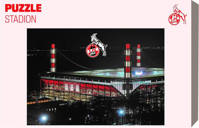 1000-Stukken Puzzel - Stadion Puzzel - Ontspanning Thuis - Gedetailleerd Stadionbeeld - 45 Minuten Speeltijd