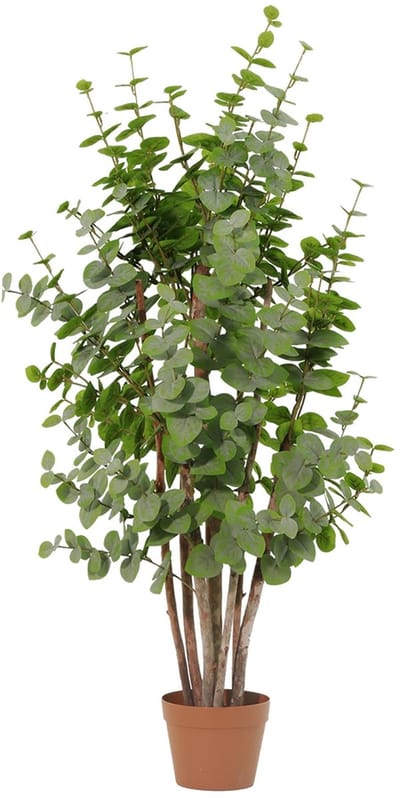 Florafy Kunstplant Eucalyptus Groen 120cm - Kunstplanten voor binnen - Onderhoudsvrij