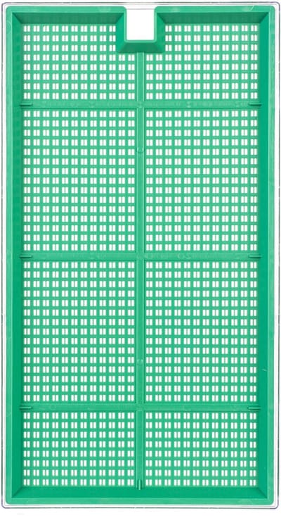 Clion sprouter groot 27 x 15 cm groen