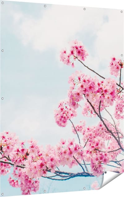 Gards Tuinposter Roze Bloesemboom - Bloemen - 120x160 cm - Tuindoek - Tuindecoratie - Wanddecoratie buiten - Tuinschilderij