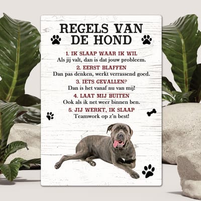 Spreuken - Cane Corso - Regels Van De Hond - Spreuken Bordjes - Spreukenbord - Tekstborden - Cadeau - Hondenras