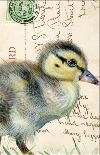 Dubbele kaart met env. Eendje 11,5x17,5cm