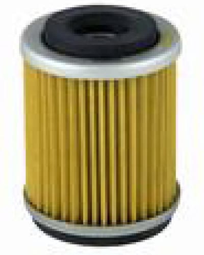 Champion Oliefilter voor Rieju 125 SMX Motorfietsen 2003 tot 2006 X313 Gloednieuw