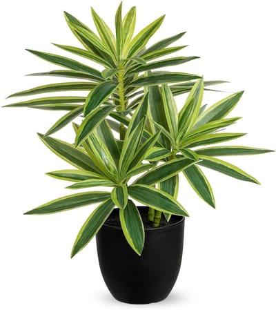 41Cm Nepplanten in Zwarte Potten Kunstmatige Dracaena Plant Decoratieve Nep Potplanten Realistische Faux Kamerplant Voor Thuis Badkamer Woonkamer Keuken Plank Tafel Decoratie
