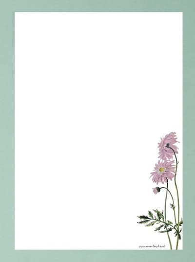Briefpapier - 24 vellen A4 formaat - Wilde Chrysant - Postpapier met bloemen - Meer Leuks