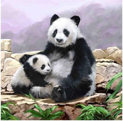 Crystal Card Kit | Diamond painting Panda