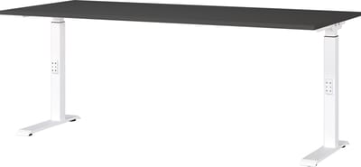Bureau Galileo Wit - Grafiet - 180x80cm - Hoogte 91 cm - In hoogte verstelbaar