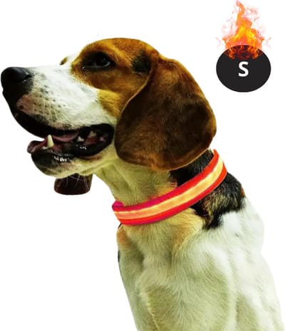 Bovista Lichtgevende Halsband - Verlichte Halsband - Lichtgevend - Hond - Kat - Lampje - Hondenhalsband Led - Oplaadbaar - Glow In The Dark - Rood - S