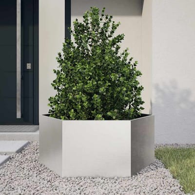 vidaXL - Plantenbak - zeshoek - 104x90x45 - cm - roestvrijstaal