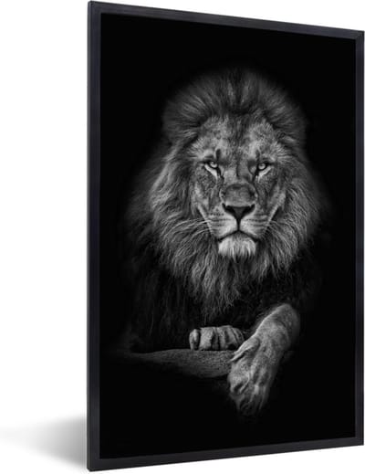 Foto in lijst - Leeuw - Dieren - Zwart - Wanddecoratie - Slaapkamer - Poster - 80x120 cm - Fotolijst - Kamerdecoratie - Woonkamer - Poster frame