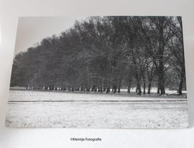 Condoleance wenskaart (A6) – Westerpark natuurbeeld voor medeleven | Kleintje Fotografie