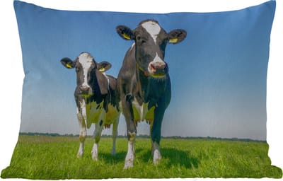 Buitenkussens - Tuin - Koeien - Weiland - Gras - Dieren - Boerderij - 50x30 cm