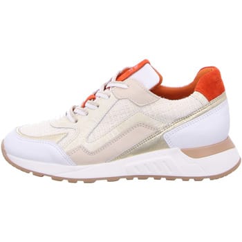 Piedi Nudi Sneakers Dames - Lage sneakers / Damesschoenen - Leer - 2507-13.01PN - Wit - Maat 38