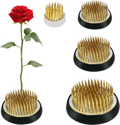 Allecta - Ronde Kenzan voor Ikebana Bloemschikken - Set van 4 - Geschikt voor Woonkamer, Tuin, Kantoor - Herbruikbare Bloemenkikker met Reinigingsborstel