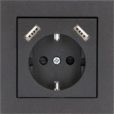 ProCharge Afdekplaat wandcontactdoos 2x USB C Mat zwart
