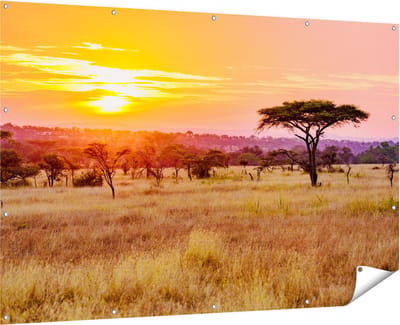Gards Tuinposter Zonsondergang in de Savanne - 180x120 cm - Tuindoek - Tuindecoratie - Wanddecoratie buiten - Tuinschilderij