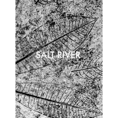 Sebastian Posingis: Salt River - Posingis, Sebastian