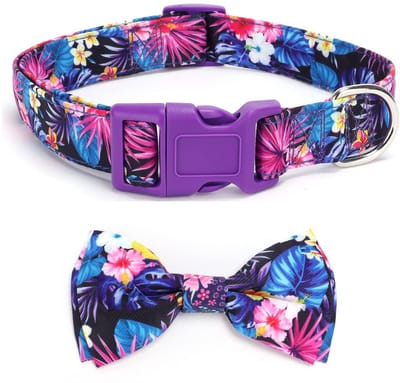 Dailygoods- Vlinderdas - Verstelbare Kraag - Afneembare Halsband - Geschikt voor Honden - Maat S (22-38 cm) - Breedte 1,5 cm