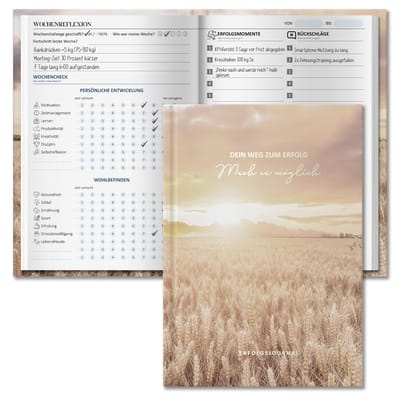 Dailygoods - BIROYAL Succesdagboek | Dagplanner | Incl. Leerplatform, Mindset & Workbook | Verhoogt focus & productiviteit | Journal | Planner | DIN A5 | Bereik doelen (Sunrise)