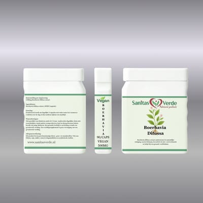 Sanitas Verde Boerhavia Diffusa Extract 10:1 Punarnava Lever Nieren Detox 90 Vegan Capsules