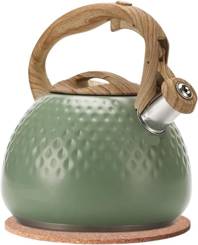 Waterkoker met Fluit - Theepot RVS - Water Koken - Hittebestendig Handvat - 2.5 Liter - Groen