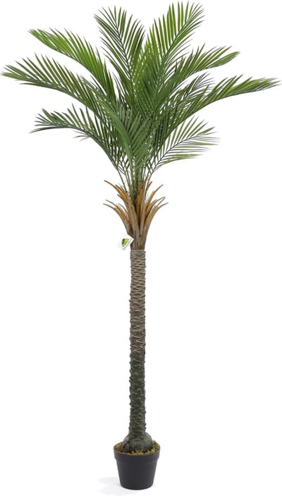 Kunst Palmboom California | 175cm - Namaak palmboom - Kunstplanten voor binnen - Kunstpalm