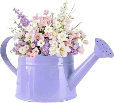 Metalen Gieter - Vintage Waterkan - Planten Water Geven - Verwijderbare Tuit - 1 Gallon - Mat Gegalvaniseerd