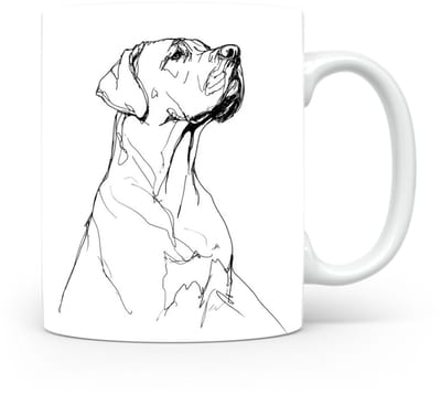 Beker Fila Brasileiro