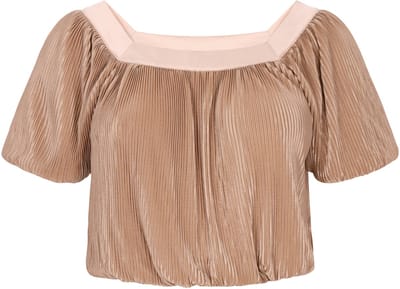 usha Blouse
