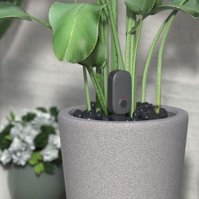 Bodem Tester - Vochtigheid Sensor - Planten Verzorgen - App Controle - 21 x 6 x 3 cm - Zoals getoond